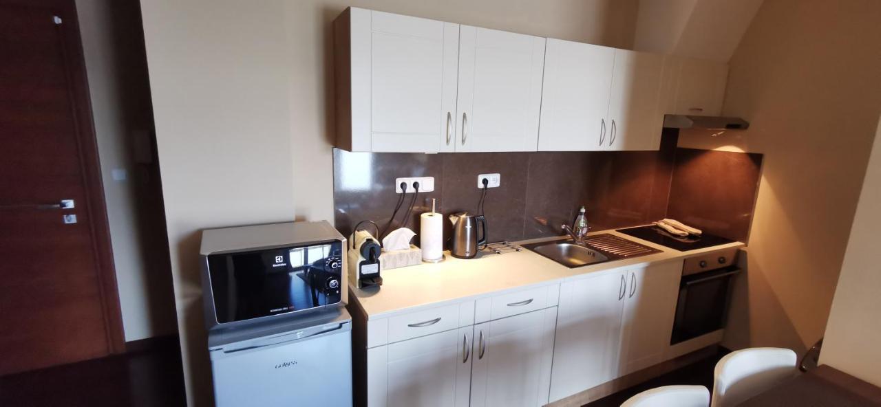 קרלובי וארי Moser Apartment Carlsbad מראה חיצוני תמונה