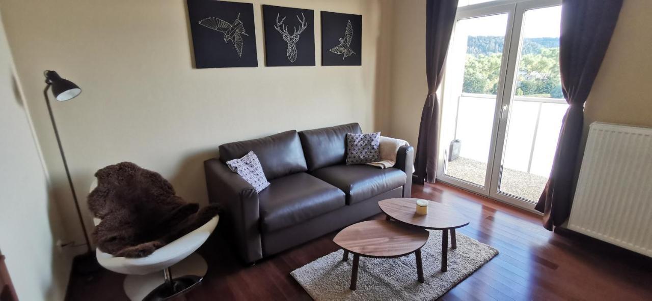 קרלובי וארי Moser Apartment Carlsbad מראה חיצוני תמונה