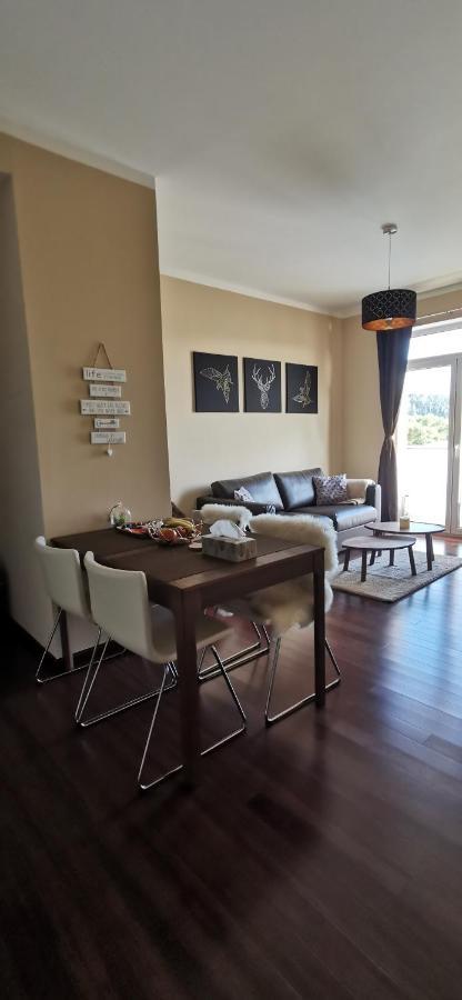 קרלובי וארי Moser Apartment Carlsbad מראה חיצוני תמונה