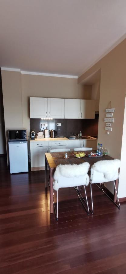 קרלובי וארי Moser Apartment Carlsbad מראה חיצוני תמונה