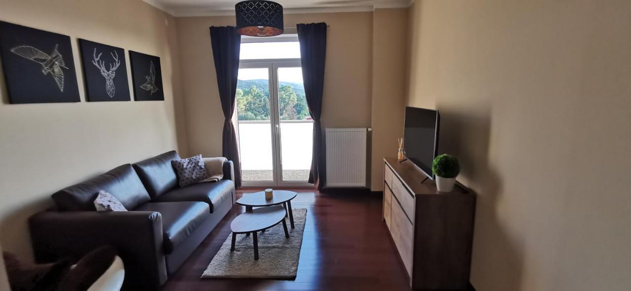 קרלובי וארי Moser Apartment Carlsbad מראה חיצוני תמונה